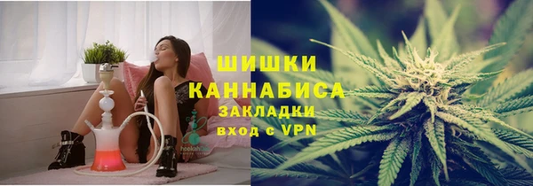 МДПВ Инсар