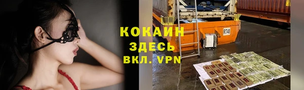 МДПВ Инсар