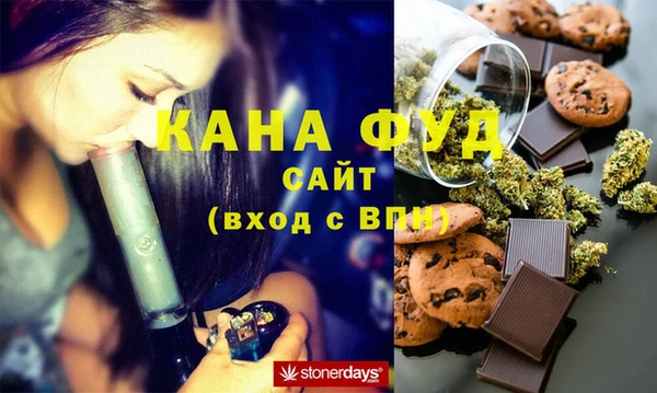 МДПВ Инсар