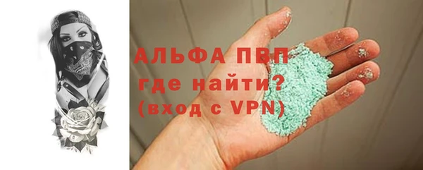 МДПВ Инсар