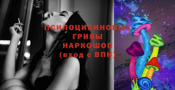 apvp Зеленодольск