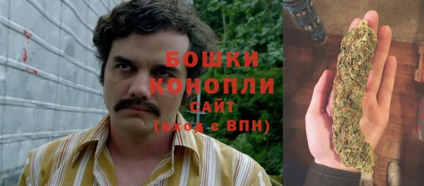 МДПВ Инсар