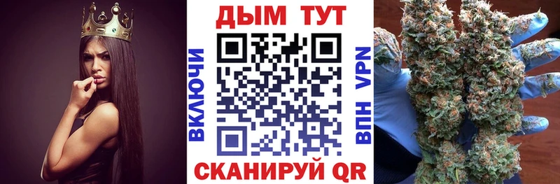 Бошки Шишки Amnesia  Купить где  Козьмодемьянск 